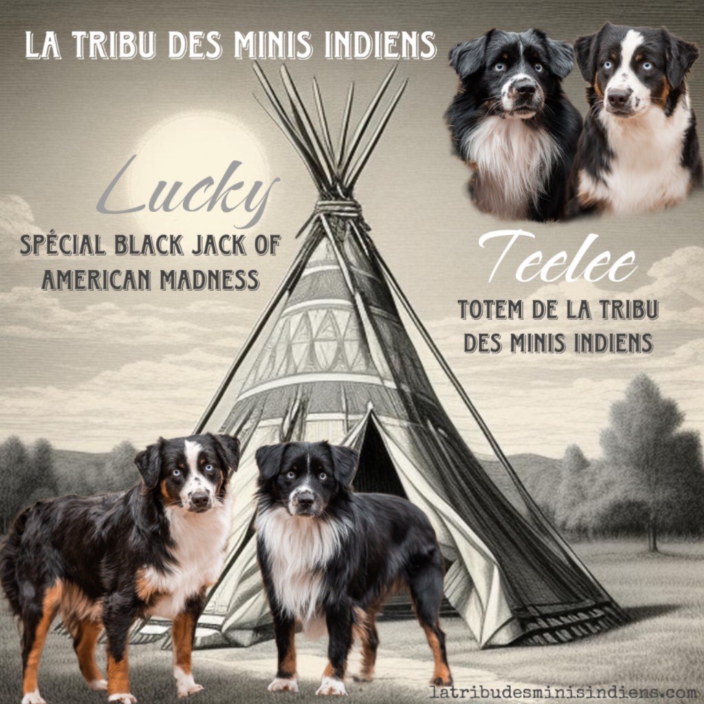 De La Tribu Des Minis Indiens - Les bibous very All blacks