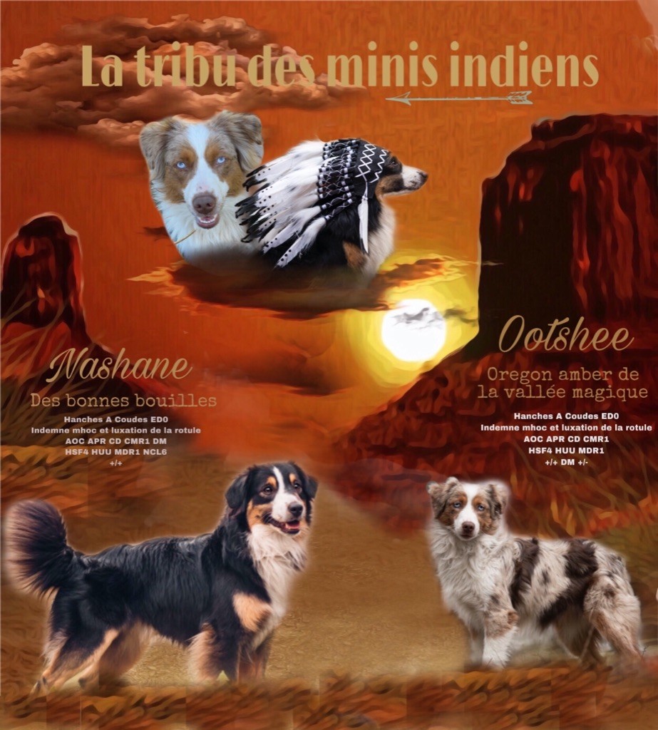 De La Tribu Des Minis Indiens - confirmation de gestation pour Ootshee