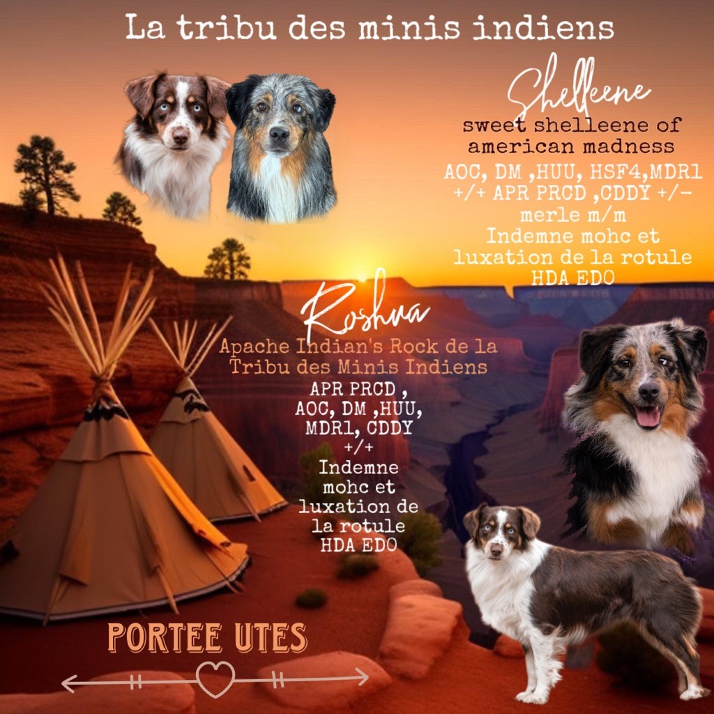 De La Tribu Des Minis Indiens - Bibous portée Utes